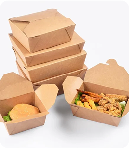 kraft_container_5