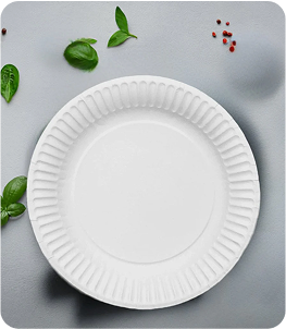 paper_plate_img