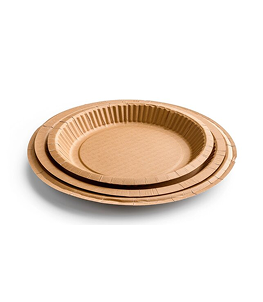 paper_plate_img_2