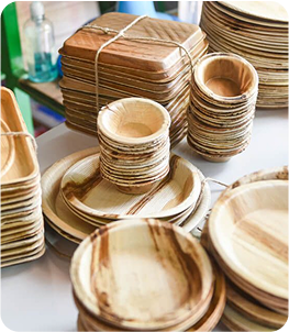 paper_plate_img_3